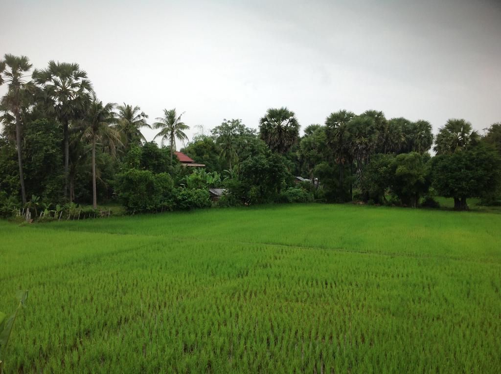 Angkor Rural Boutique Resort Siem Reap Exterior photo