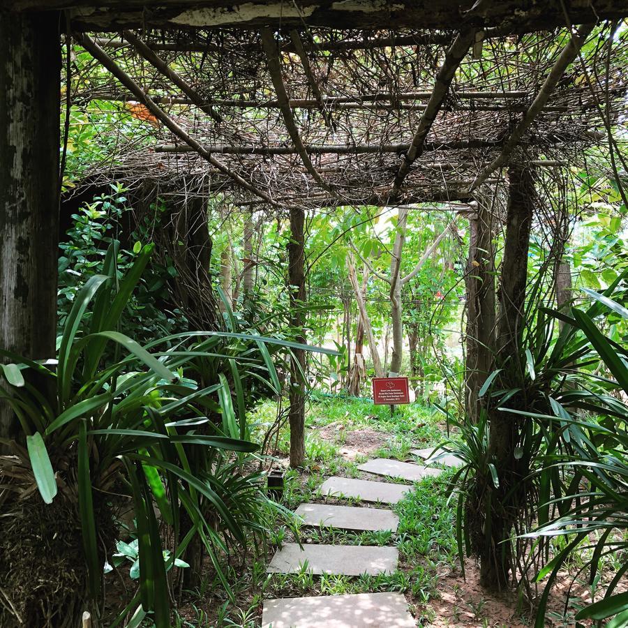 Angkor Rural Boutique Resort Siem Reap Exterior photo